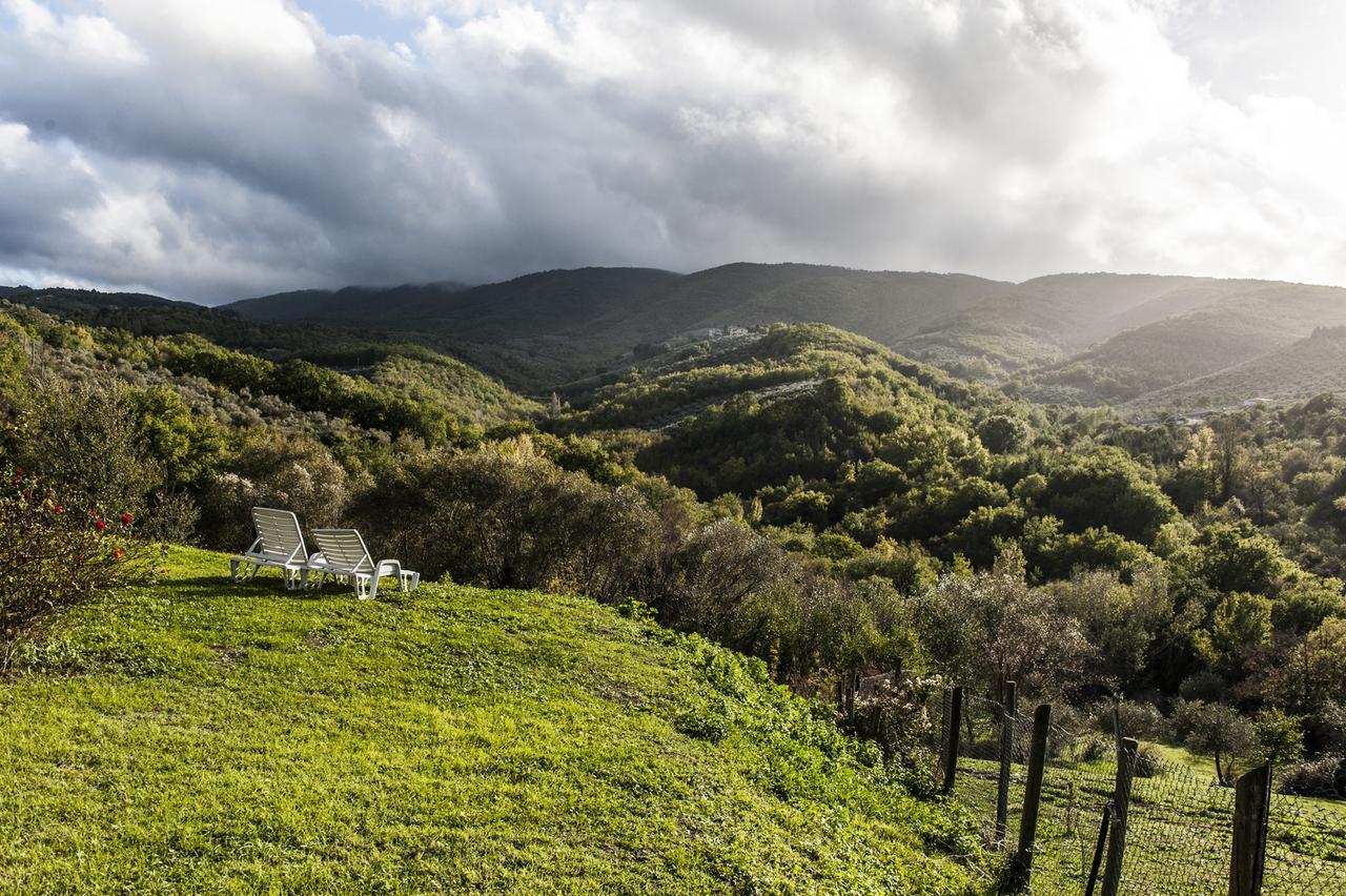 Tenuta San Felice *