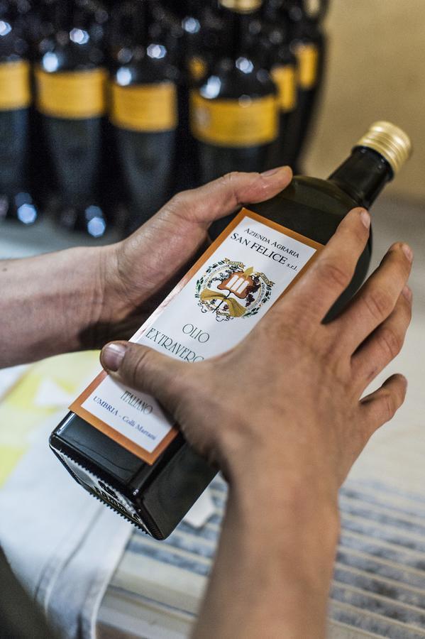 Tenuta San Felice Giano dell'Umbria