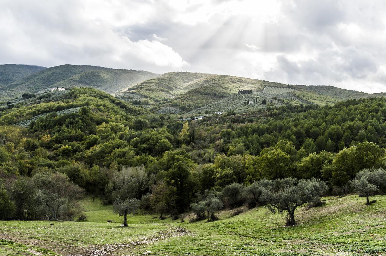Tenuta San Felice * Giano dell'Umbria