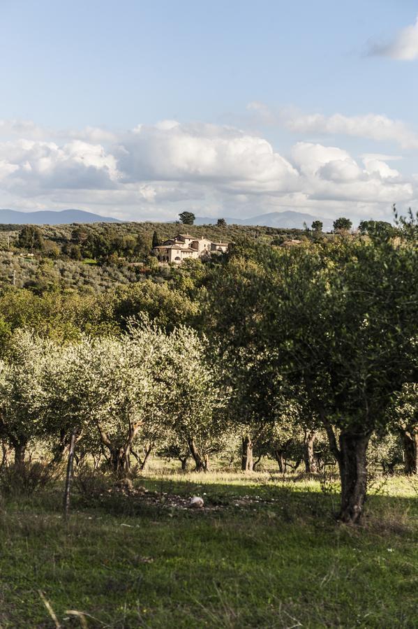 Tenuta San Felice *